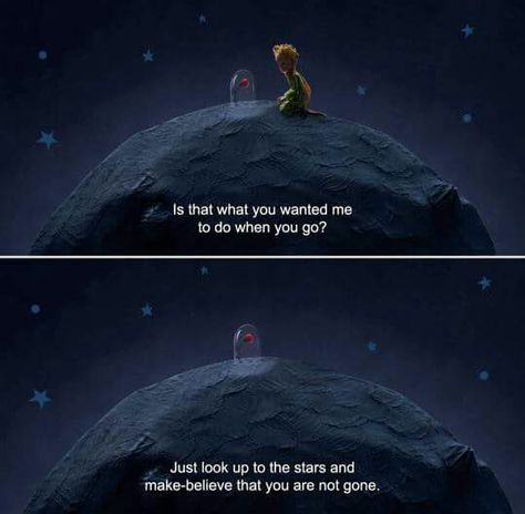 The little prince Looking Up At The Stars, 80s Aesthetic Wallpaper, Little Prince Quotes, Prince Quotes, Best Movie Quotes, Cinema Quotes, Movies Quotes Scene, The Lone Ranger, Movie Lines