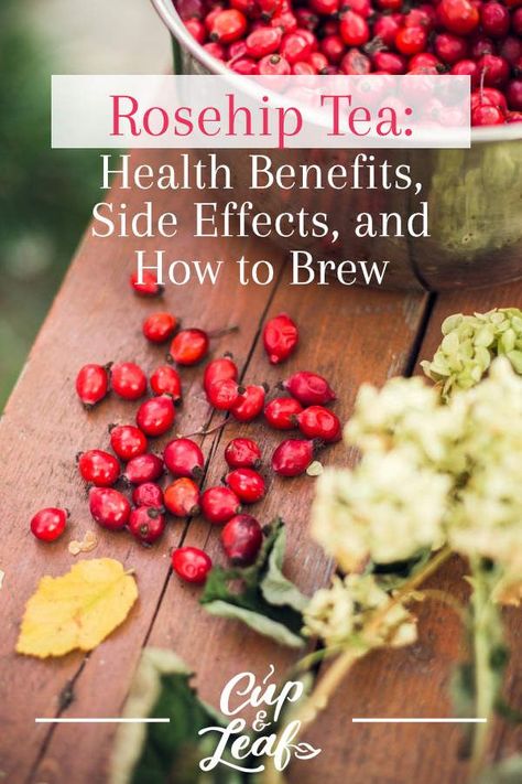 Rosehip Tea: Health Benefits, Side Effects, and How to Brew - Cup & Leaf Rose Hip Tea, Rosehip Recipes, Rosehip Tea, Tea Health, Medicinal Tea, Foraged Food, About Rose, Herbal Teas Recipes, Tea Health Benefits