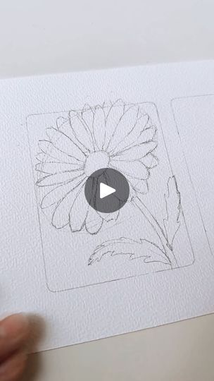 39K views · 2.6K reactions | .: Daisy :. 🌼 ✍🏼

Daisies are such fascinating and charming creatures. I love the beauty that lies in their simple shapes and vibrant colors… they remind me of sunny and warm days.

This time I present you a little tutorial of how I sketch a Daisy. I start simple, with one small circle for the centre and a larger one for the petals. Always going from the small circle and outwards.

Remember to save this reel for your daily practice and share it with someone who might find it inspiring. And let me know your requests for future reels.

Have a wonderful day!
Much love. 💕 
.
.
.
.
.
.
.
.
.
.
.
.
.
.
.
.
.
.
.
.
.
.
.
.
.
.
.
.
.
.
.
.
#floralsketch #floralillustration #flowergram #linework #lineart #modernflorals #floraldrawing #botanicaldrawing #florallineart Floral Drawing, Small Circle, Have A Wonderful Day, Botanical Drawings, Wonderful Day, Floral Illustrations, Simple Shapes, Line Art, The Beauty