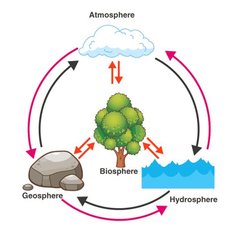 Biosphere Resources 4 Subsystems Of The Earth, Subsystems Of The Earth, Earths Spheres, Earth Systems, Earth's Spheres, Physics Concepts, Earth Drawings, Rock Cycle, Photosynthesis