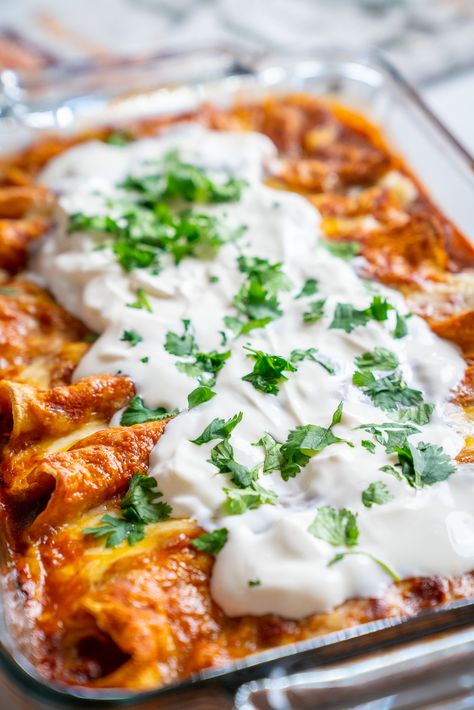 Easy Cheesy Black Bean Enchiladas?utm_source=12tomatoes Black Bean And Corn Enchiladas, Black Bean And Cheese Enchiladas, Bean Enchilada Recipe, Bean And Cheese Enchiladas, Cheesy Enchiladas, Chicken Mole, Black Bean Enchiladas, Crock Pots, Bean Enchiladas