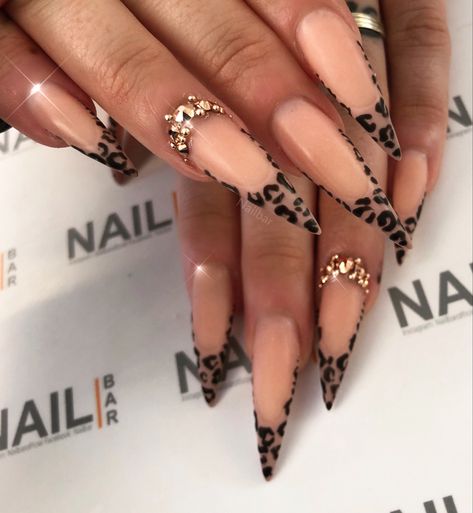 September Stilleto Nails, Stalitoes Nails Short, Leopard Print Nails Stiletto, Leapord Print Acrylic Nails Long, Stilleto Cheetah Nails, Stiletto Nails Cheetah, Leopard Print Stiletto Nails, Stiletto Leopard Nails, Cheetah Print Stiletto Nails