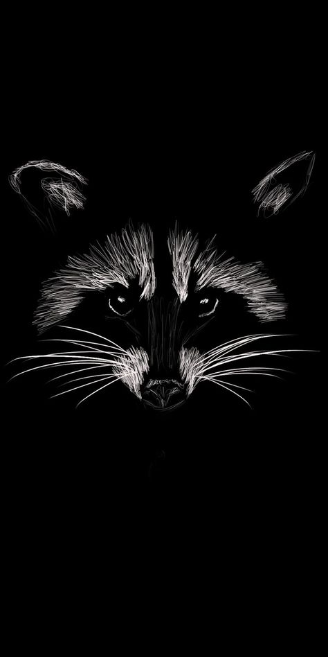 Silhouette Chat, Scratchboard Drawings, Micron Pen Art, Raccoon Drawing, Dog Portraits Art, Scratchboard Art, Black Paper Drawing, 3d Art Drawing, Scratch Art