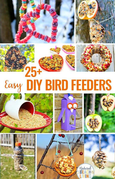 20+ Homemade Bird Feeders, Bird Feeders for Kids, These Homemade Bird Feeders and birdseed ornaments are easy to make and they look so nice hanging on the trees. Your kids will love making Apple Bird Feeders, Pine Cone bird feeder and Bird Seed Ornaments  #birdfeeder #birdseedtreats #birds #birdfeeders Bird Feeders For Kids, Bird Seed Ornaments Recipe, Bird Feeders For Kids To Make, Winter Bird Feeders, Seed Ornaments, Birdseed Ornaments, Mason Jar Bird Feeders, Birds Silhouette, Pine Cone Bird Feeder