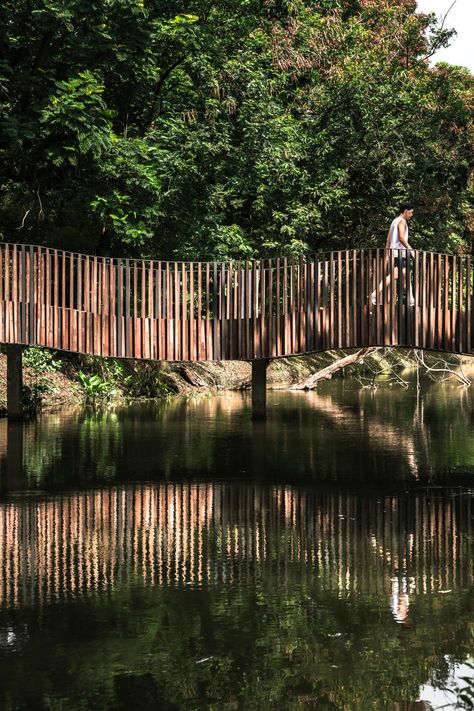 The Bird Wave Bridge Bridging the Gaps by Shma | Parks Outdoor Bridges, Garden Decoration Ideas, Wooden Bridge, Urban Park, Landscape Architects, Natural Bridge, Pedestrian Bridge, Bridge Design, Railing Design