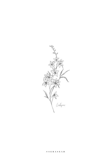 Larkspur Flower Tattoo Small, Larkspur Tattoo Design, Larkspur Flower Drawing, Flower Tattoo Larkspur, Larkspur Birth Flower, July Birth Flower Tattoo Larkspur, Benjamin Tattoo, July Tattoo Ideas, July Flower Tattoo