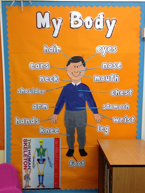 My Body Parts Display, classroom display, class display, Ourselves, All About Me, bodies, body, body parts, Early Years (EYFS), KS1 & KS2 Primary Resources My Body Preschool, All About Me Eyfs, All About Me Topic, My Body Parts, Year 1 Classroom, Body Preschool, All About Me Preschool, All About Me Activities, Sensory Diet