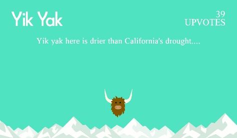 My towns yak A Serbian Film, Yik Yak, You Make Me Happy, Make Me Happy, Trending Memes, Free Food, Drake, Funny Jokes, Give It To Me