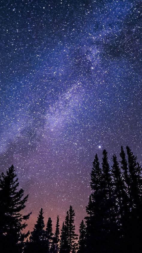 Night Sky Wallpapers - Top Free Night Sky Backgrounds - WallpaperAccess Stars Aesthetic Wallpaper Iphone, Stars Aesthetic Wallpaper Night Sky, Etoile Aesthetic, Sky And Trees Aesthetic, Star Sky Aesthetic, Stars In The Sky Wallpaper, Aesthetic Stars Wallpaper, Aesthetic Ciel, Nuit Aesthetic