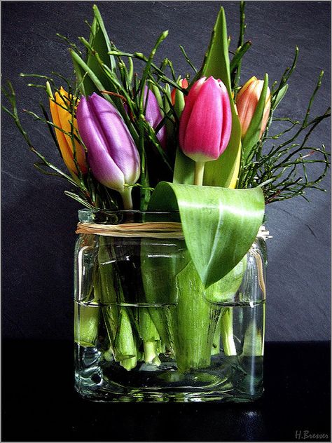 #Tulpen im Glas by h.bresser repinned by #smgtreppen Deco Nature, Deco Floral, Hanging Garden, Garden Care, Arte Floral, Beautiful Blooms, Winter Garden, Ikebana, Love Flowers