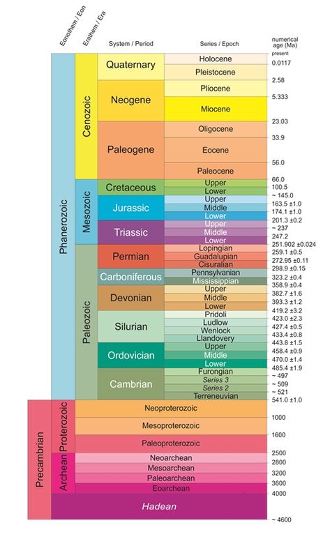 Geologic Time Scale, Ancestry Family Tree, Scale Drawing, Time Line, Historical Objects, Our Planet Earth, Prehistoric Art, Earth Science, Historical Events