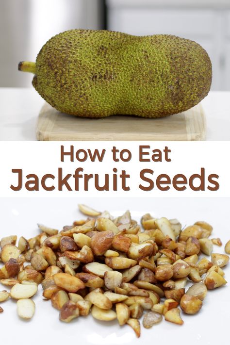 Did you know Jackfruit seeds are edible? So, don't throw them away. They can be boiled or roasted and also sautéd after. Used in a variety of recipes or just eaten as a snack. All you need are jackfruit seeds, water, salt, etc. They are incredibly nutrititious as well. If I can do it, you can do it. Let's get started! Jackfruit Seeds Recipe, How To Cut Jackfruit, How To Cook Jackfruit, Beef Stew Healthy, Jackfruit Seeds, Jack Fruit, Jackfruit Recipes, Facial Routine, Quick Vegan