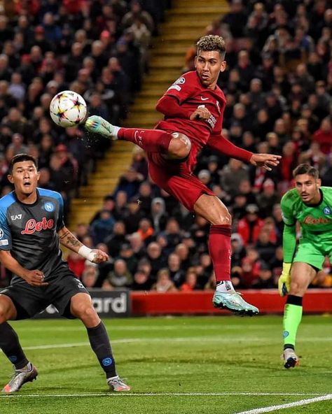 Bobby Firmino, Liverpool Fc Team, Liverpool History, Liverpool Players, Best Football Players, Football Player, Liverpool Fc, Football Soccer, Football Players