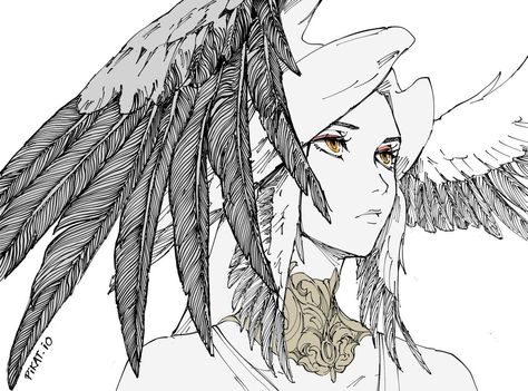 Mythical Creature Art, Bird Girl, Wings Drawing, Dnd Ideas, Body Reference Drawing, Anime Cover Photo, Concept Art Drawing, 영감을 주는 캐릭터, Art Inspiration Drawing