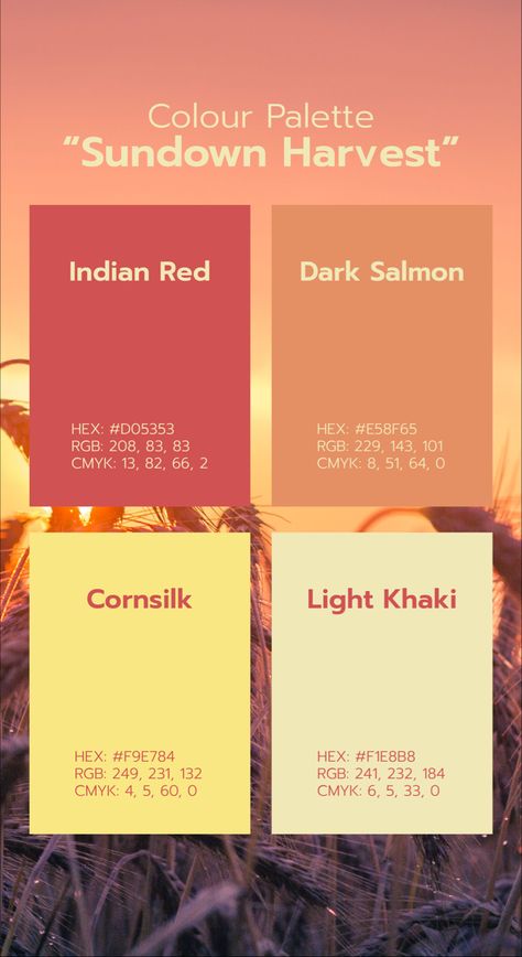 Colour Palette Burnt Orange, Burnt Orange Branding, Soft Red Color Palette, Harvest Color Palette, Colors That Go With Orange, Color Palette With Orange, Warm Tone Palette, Three Color Palette, Burnt Orange Color Palette