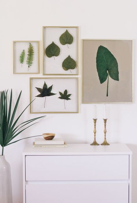 How to Frame Real Leaves to Create Original Botanical Art | Hunker Ikea Plant Stand, Leaf Art Diy, Ikea Plants, Pressed Flowers Diy, Framed Leaves, Arrow Wall Art, Framed Plants, Ikea Decor, Silhouette Wall Art