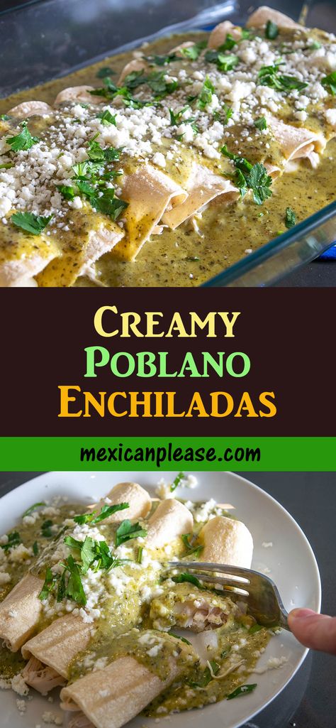 Poblano Pepper Enchilada Sauce, 12 Tomatoes Poblano Sour Cream Enchiladas, Poblano And Chicken Recipes, Poblano Recipes Healthy, Green Poblano Sauce, Roasted Poblano Enchilada Sauce, Poblano Sweet Potato, Roasted Poblano Chicken Enchiladas, Poblano Sauce Enchiladas