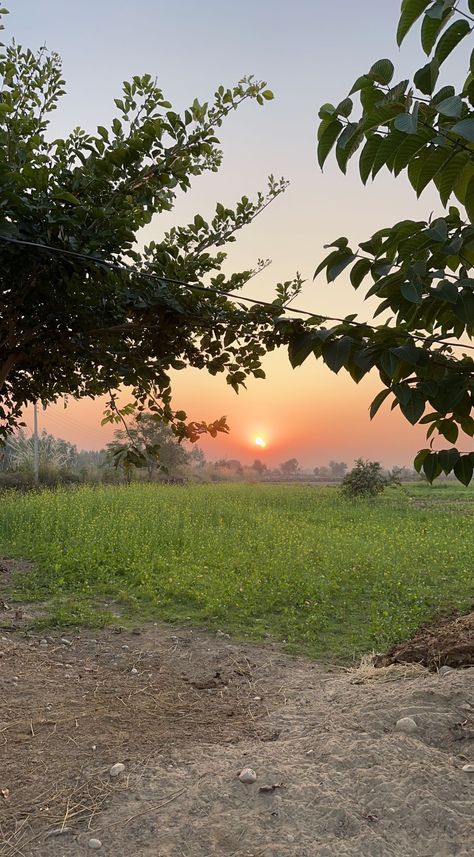 Night Street Photography, Indian Garden, Friendship Quotes Images, Asthetic Picture, Nature Instagram, Sky Pictures, Emoji Wallpaper, Village Life, Sunset Views