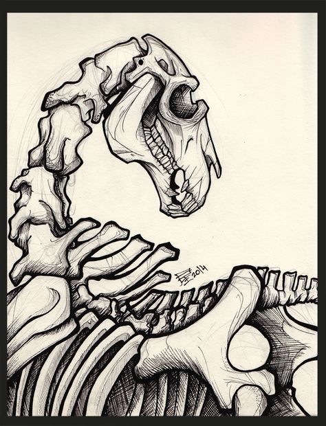 Skeleton Horse Aesthetic, Animal Skeleton Sketch, Cow Sculls Art, Ghost Horse Drawing, Skeleton Horse Art, Horse Skeleton Drawing, Cute Horse Tattoos, Horse Skull Drawing, Horse Skeleton Tattoo