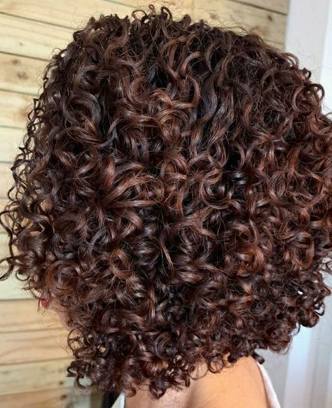 Dark Brown Curly Hair With Balayage, Curly Hair Highlights And Lowlights Red, Curly Balayage, Curly Balayage Hair, Hair Dye Tips, Dark Curly Hair, Dyed Curly Hair, Highlights Curly Hair, Black Hair Balayage