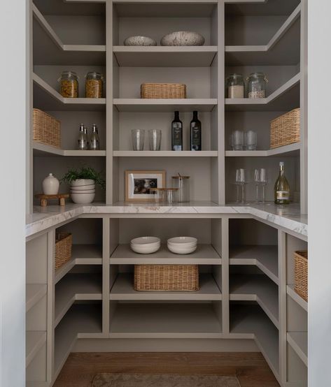 Currently my pantry is at the brink of chaos with gold fish falling out every time you open it buuuuut a mom can dream right?! Love the… | Instagram Small Walk In Pantry, Walk In Pantry Ideas, Pantry Layout, Pantry Inspiration, Pantry Room, Pantry Remodel, Pantry Shelving, Small Pantry, Pantry Ideas