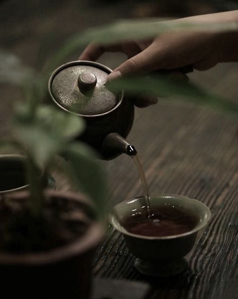 Chinese Tea Room, Tea Japan, Healthy Milk, Asian Tea, Chinese Aesthetic, Increase Energy, Tea Culture, Japanese Tea Ceremony, Japan Aesthetic