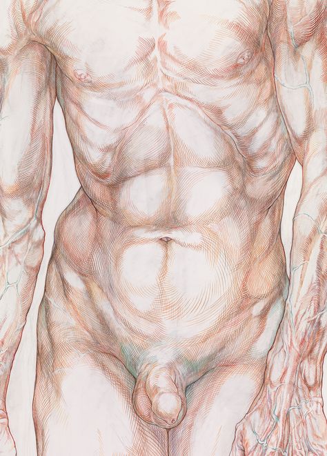 Art World: Paintings of Koen De Cock Human Figure Artists, Anatomy Pose, Male Art Photography, Male Body Art, Drawing Anatomy, Male Figure Drawing, Boy Sketch, Man Anatomy, Post Human