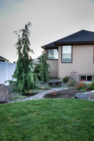 weeping alaskan cedar and stone bench in japanese garden Weeping Alaskan Cedar Landscape, Weeping Cedar Landscaping, Weeping Alaskan Cedar, Lake Backyard, Conifers Garden, Porch Landscaping, Valley Landscape, Landscaping Inspiration, Asian Garden