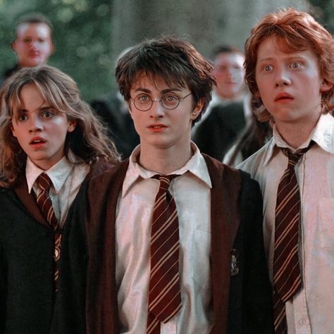 Harry Potter Trio, Ron Y Hermione, Harry Hermione Ron, Harry Potter Groups, The Golden Trio, Harry Potter Ron And Hermione, Ron Weasley Hermione Granger, Ron And Harry, Harry Porter