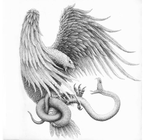 Eagle Attacking Snake, Mexican Eagle With Snake Tattoo, Eagle Snake Tattoo Realistic, Eagle And Snake Drawing, Dove Snake Tattoo, Eagle Catching Snake Tattoo, Zarathustra Tattoo, Eagle And Snake Tattoo, Eagle With Snake