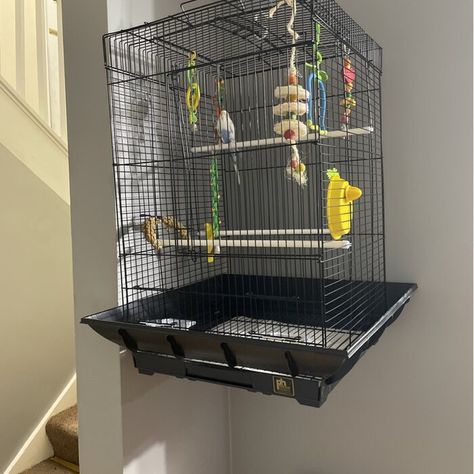 Tucker Murphy™ Pet Borum 24'' Steel Flat Top Table Top Bird Cage with Perch & Reviews | Wayfair Koktel Bird, Bird Home, Top Table, Flats Top, Bird Cage, Shoe Rack, All Products, Table Top, Pet