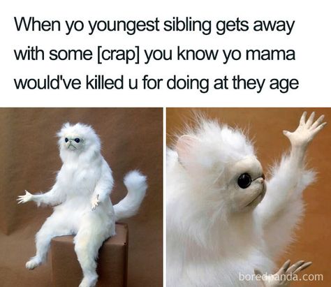 30 Of The Best Sibling Memes Ever Persian Cat Room Guardian, Sibling Memes, School Planner, Christian Humor, School Memes, Christian Memes, Memes Humor, Relationship Memes, Komik Internet Fenomenleri