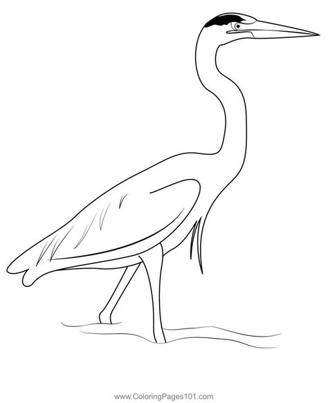 Great Blue Heron Fishing Coloring Page Great Blue Heron, Herons, Blue Heron, Free Kids, Printable Coloring, Printable Coloring Pages, Coloring Pages For Kids, Coloring Page, Free Printable