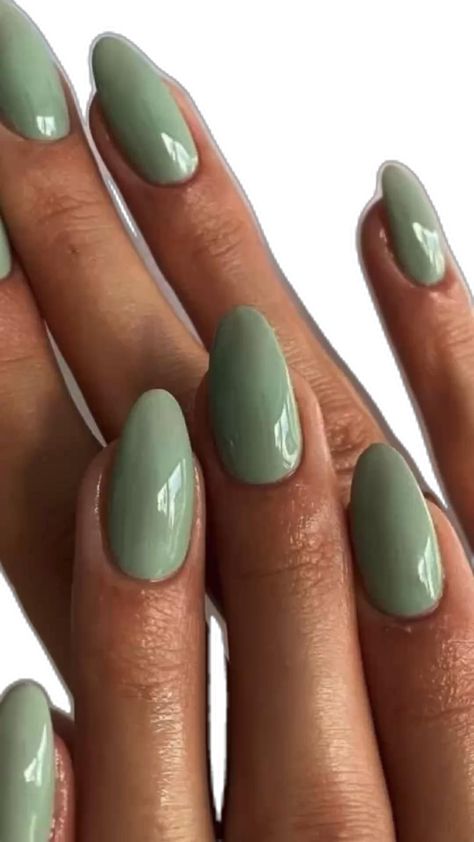 Solid Color Acrylic Nails, April Nails, August Nails, Lilac Nails, Solid Color Nails, Plain Nails, Fall Nail Trends, Subtle Nails, Green Nail