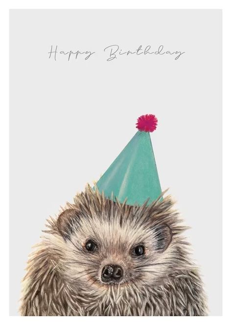 Birthday Hedgehog, Hedgehog Drawing, Happy Birthday Illustration, Colour Illustration, Hedgehog Birthday, Cool Birthday Cards, Birthday Illustration, Print Greeting Cards, British Wildlife