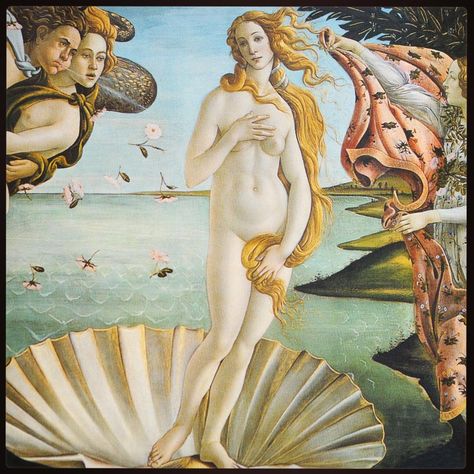 Instagram Aphrodite Aesthetic, Masterpieces Painting, Angel Blessings, Birth Of Venus, Sandro Botticelli, Rennaissance Art, Arte Inspo, Famous Artists, Aphrodite