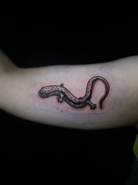 A Georgia salamander done by Emily Wynne (@wynningtattoos) at Golden Anchor Tattoo Studio in Atlanta, GA. Salamander Tattoo, Guy Montag, Nature Sleeve, Tattoo Queen, Anchor Tattoo, Atlanta Ga, Tattoo Studio, Half Sleeve, Infinity Tattoo