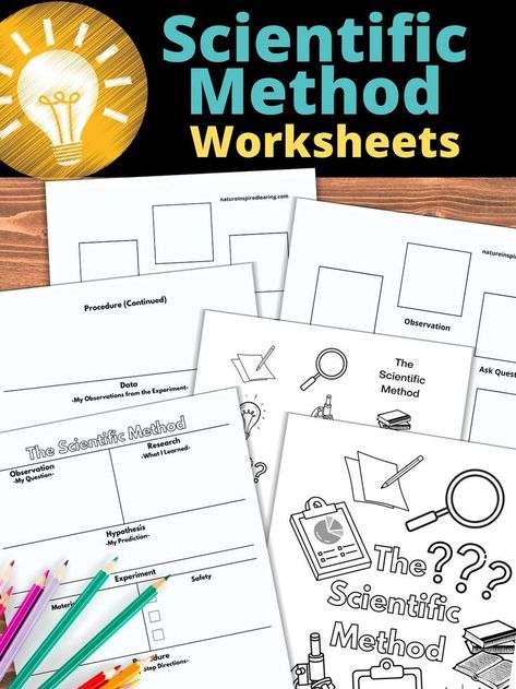 Scientific Method Printable, Scientific Method Worksheet Free, Scientific Method Activities, Worksheets For Elementary, Science Lessons Elementary, Scientific Method Worksheet, Elementary Science Activities, Homeschool Freebies, Homeschool Elementary