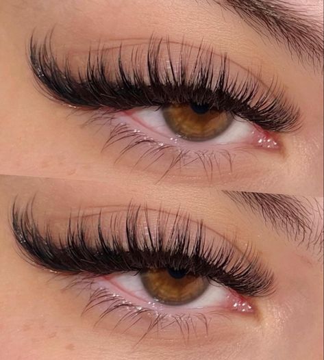 Natural Fake Eyelashes, Best Lash Extensions, Lashes Tutorial, Lashes Fake Eyelashes, Cat Eye Lash, Lash Extensions Styles, Perfect Eyelashes, Pretty Lashes, Eyelash Extentions