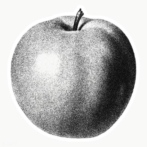 Hand drawn monotone apple sticker design element | free image by rawpixel.com / winn Apple Design Art, Apple Illustration Design, Apple Black And White, Apple Pencil Drawing, Pointalism Art, Apple Sketch, Dot Drawing, Apple Drawing, Apple Sticker