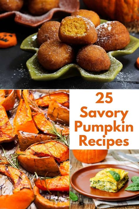 A list of savory pumpkin recipes that can be enjoyed in those months when fresh pumpkins are available but additionally, all year long with pumpkin puree. Sometimes we totally forget about this ingredient in other seasons, and it is WAY too good to be left sitting on the shelf! #Pumpkin #Savory Pumpkin Recipes Easy Dinner, Pumpkin Recipes Dinner, Savory Pumpkin, Pumpkin Recipes Healthy, Recipes Savory, Savory Pumpkin Recipes, Pumpkin Dishes, Pumpkin Recipes Easy, Overnight Oat