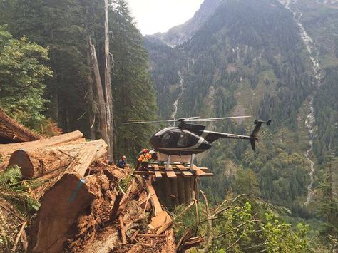 Photo Avion, Bush Pilot, Lumberjack Style, Logging Industry, Bush Plane, Logging Equipment, Wildland Firefighter, Photo Facebook, Helicopter Pilots