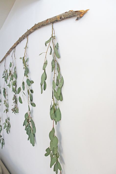 DIY Wall Decor - Eucalyptus Branch - The Honeycomb Home Tree Branch Decor Diy, Tree Branch Decor, Boho Mirror, Tree Branch Wall, Living Room Decor Rustic, Boho Living Room Decor, Boho Room Decor, Branch Decor, Tree Wall Decor