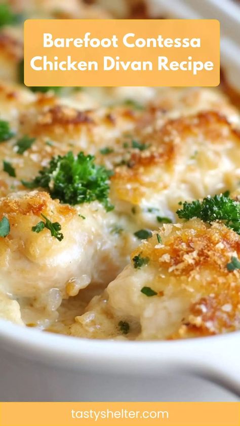 Barefoot Contessa Chicken Divan Recipe – Tasty Shelter Chicken Divan Recipe Easy, Chicken Divan Casserole, Chicken Divan Recipe, Chicken Delight, Barefoot Contessa Recipes, Chicken Divan, Chicken Fettuccine, Comfort Casseroles, Casserole Easy