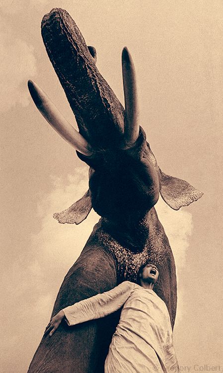 Gregory Colbert - Ashes & Snow Gregory Colbert, Painted Elephants, Asian Elephants, Murakami Haruki, Elephant Love, Foto Art, An Elephant, Black White Photos, Foto Inspiration