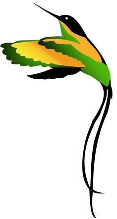 The hummingbird - the bird of Jamaica. I saw one on my trip ... Jamaican Hummingbird, Jamaican Tattoos, Jamaican History, Bird Of Paradise Yoga, Jamaica Culture, Jamaica History, Jamaican People, Drum Tattoo, Jamaican Colors