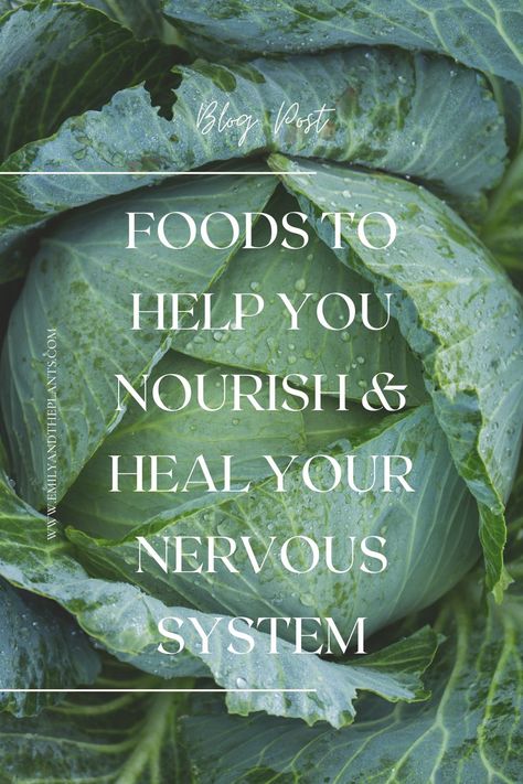 Taking care of your nervous system is a daily task. There are many things you can do that contribute to maintaining overall health and wellbeing, as well as basic steps essential for helping your nervous system to heal & repair. Proper nutrition plays a vital role in supporting a healthy nervous system. Let’s delve into the significance of nutrition in ensuring optimal nerve function and explore different food types that contribute to a healthy nervous system. Vitamins For Nervous System, Healing Disregulated Nervous System, Nervous System Diet, Food For Nervous System, Vagus Nerve Diet, How To Reset Nervous System, Parasympathetic Nervous System Reset, Heal The Nervous System, Nervous System Health