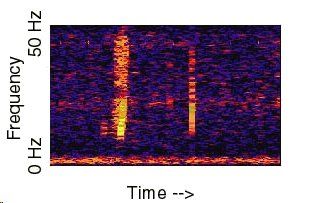 scp-wiki.net is the greatest collection of short stories/theories formatted as classified documents. For example, the mystery of the "Bloop" (google that!) is described as case SCP-169. Scp 169, Bible John, Unexplained Phenomena, Paranormal Activity, Nikola Tesla, Sea Monsters, X Files, Cthulhu, Pacific Ocean