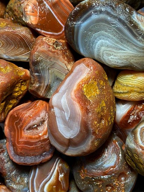 Sardonyx Stone, Rock Tumbling, Agate Rocks, Lake Superior Agates, Crystal Aesthetic, Pretty Rocks, Cool Rocks, Rock Hounding, Minerals And Gemstones