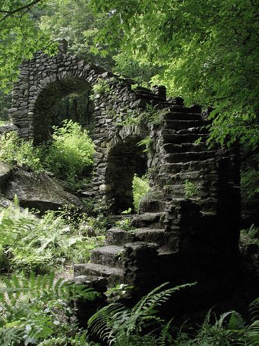 Castle Forest, Paper Photography, Sign Photography, Castle Wall, Photography Architecture, Castle Ruins, Post Apocalypse, Ancient Ruins, Dieselpunk